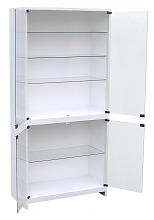 Лабораторный шкаф ШСС-2